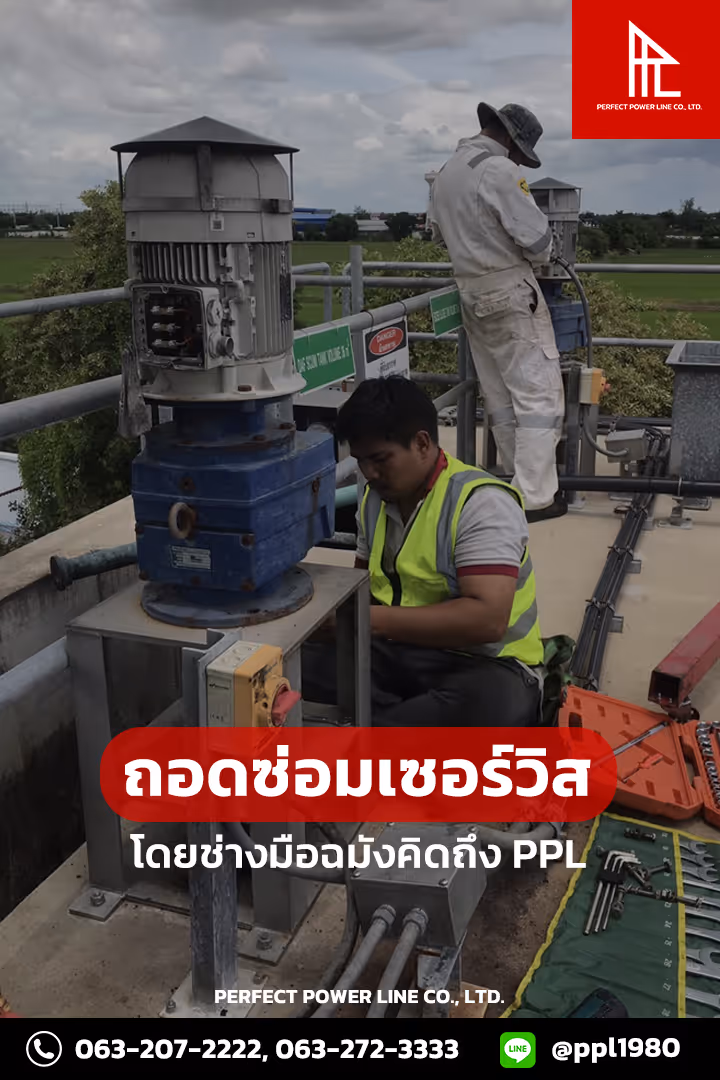 ติดตั้งเกียร์ทอรอบโรงงานแปรรูปอาหาร