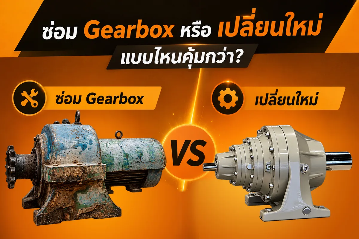 7 สัญญาณเตือนว่าเกียร์ทดรอบของคุณกำลังมีปัญหา ก่อนเครื่องจักรหยุดทำงาน
