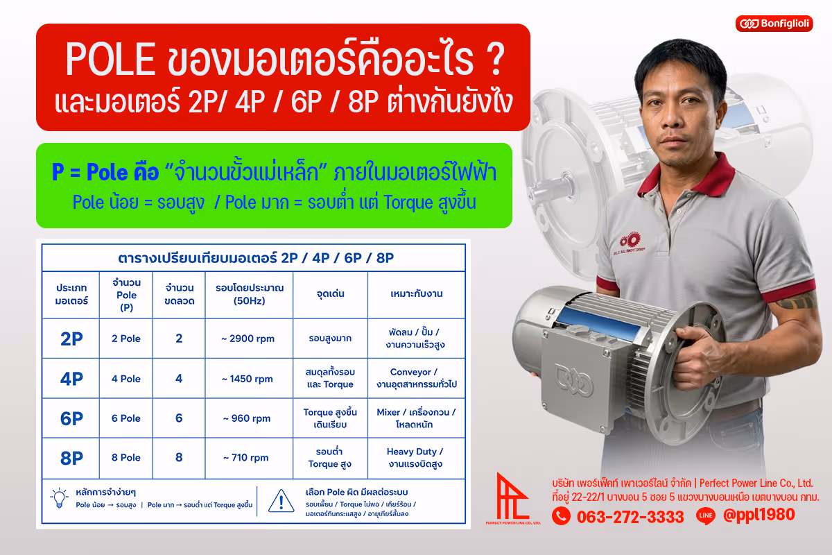 ภาพประกอบหัวข้อ Pole (P) ของมอเตอร์ คืออะไร?